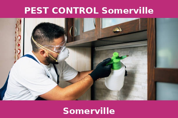 PEST CONTROL Somerville